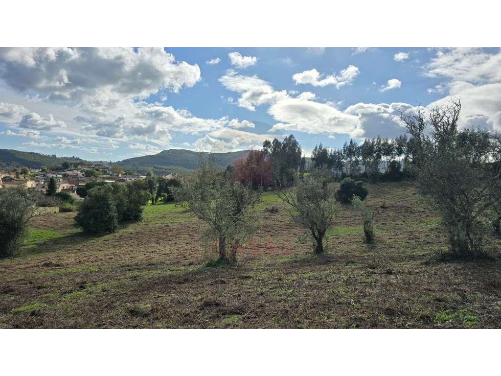 Terreno com viabilidade de construção em Cercal, Cadaval - Grande imagem: 5/19