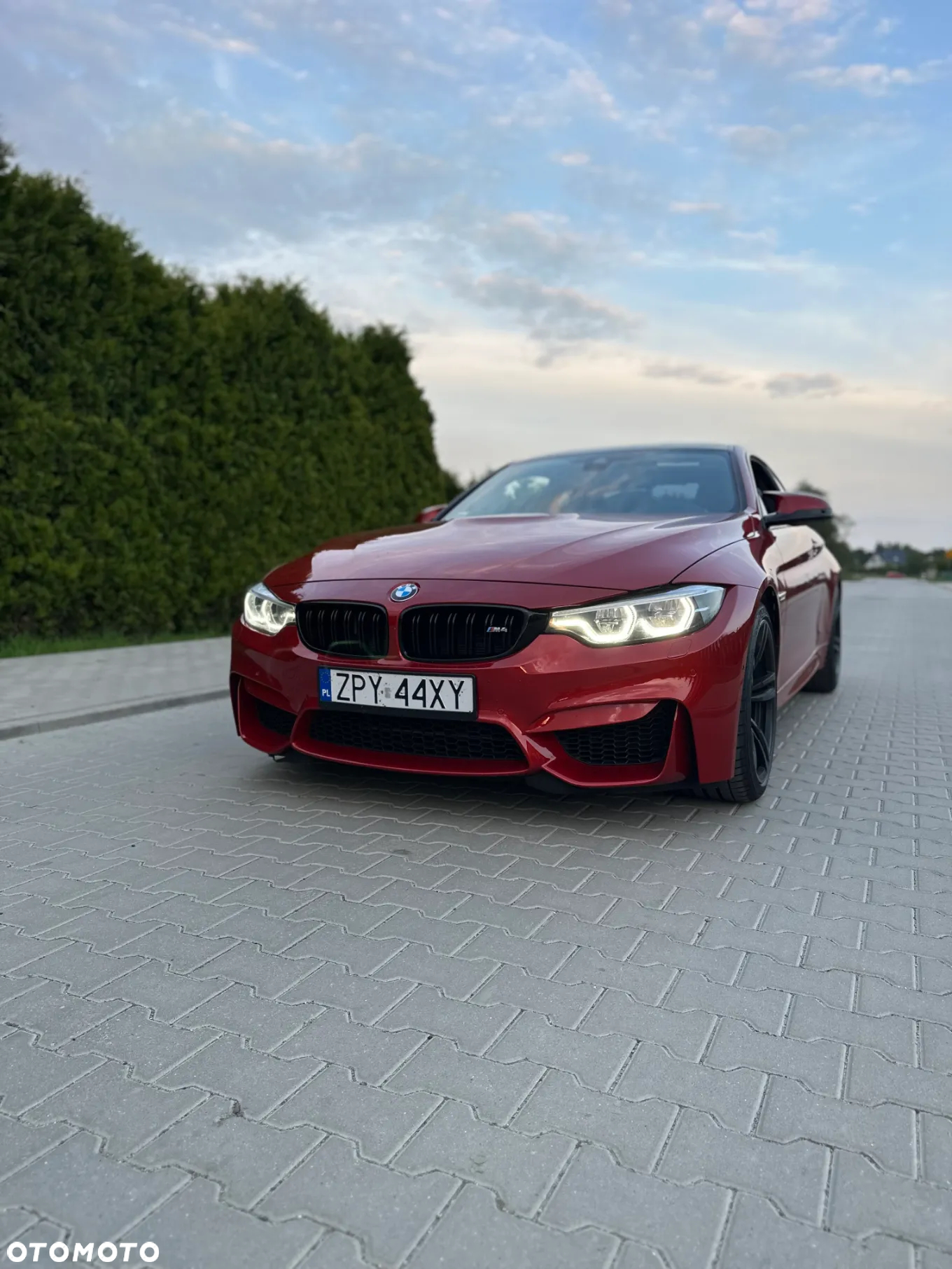 BMW M4 Coupe DKG - 5