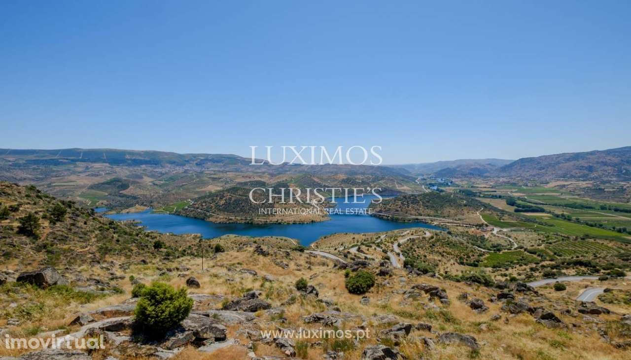 Venda: propriedade agrícola na região do Douro Superior, Torre de Mo - Grande imagem: 3/34
