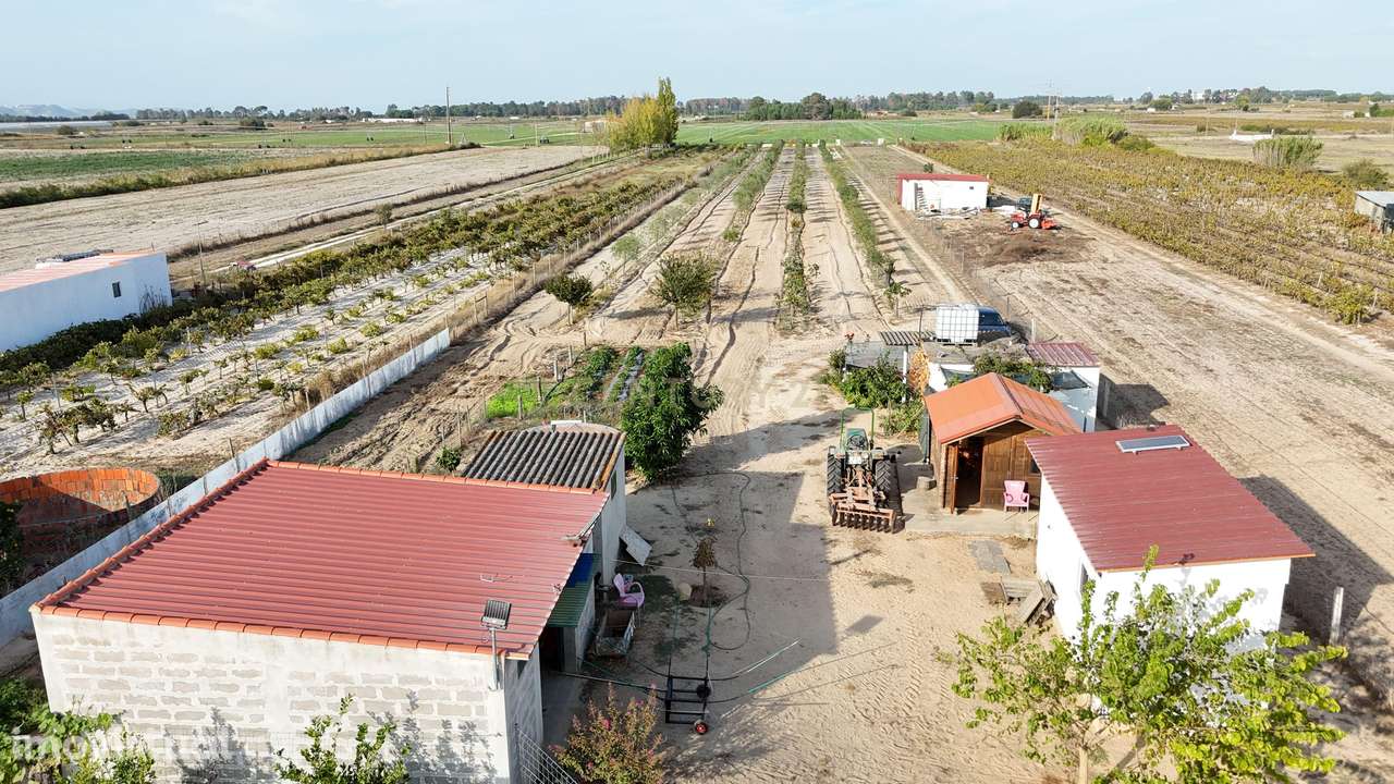 Terreno, 13 680 m², Almeirim - Grande imagem: 4/15