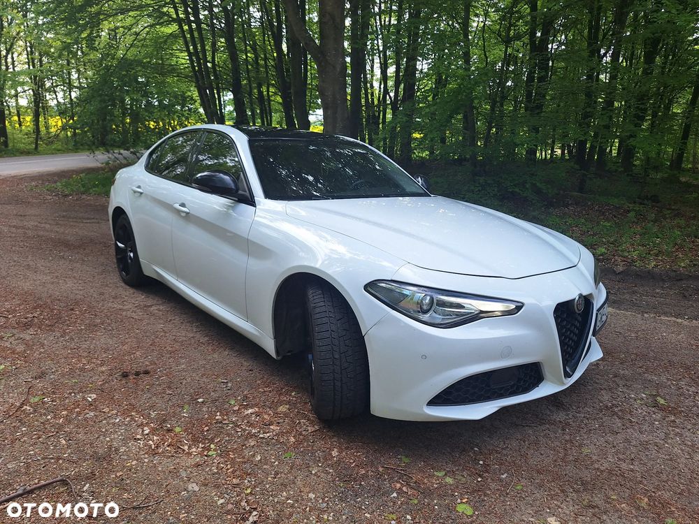Alfa Romeo Giulia 2.0 Turbo TI Q4 - 31