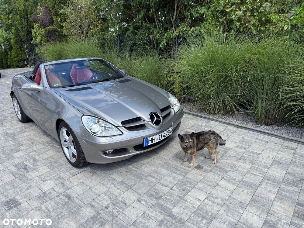 Mercedes-Benz SLK - 12