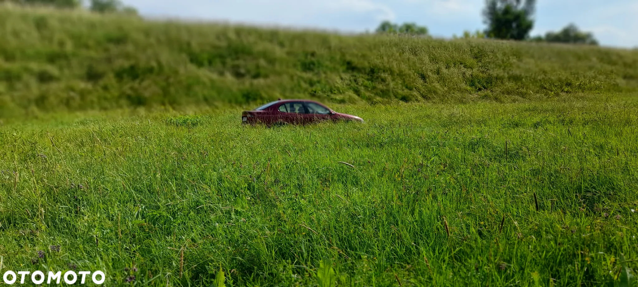 Seat Toledo - 8