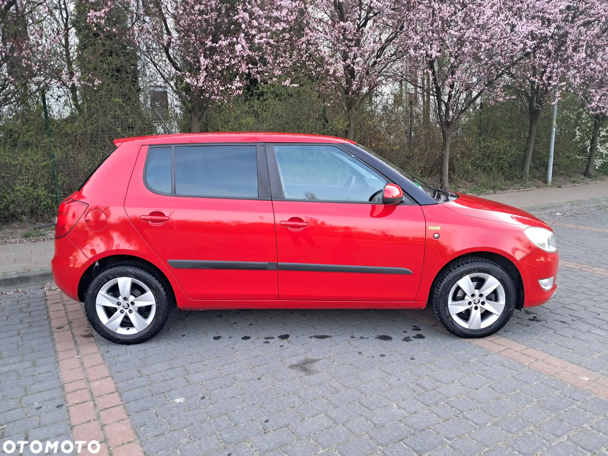 Skoda Fabia 1.2 TSI Fresh Plus - 4