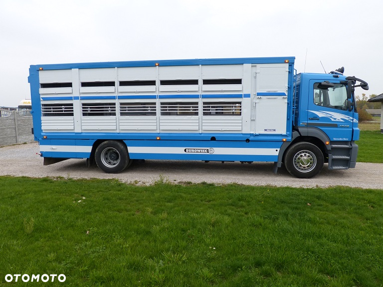 Mercedes-Benz AXOR 1829 DO ŻYWCA / ZWIERZĄT / BYDŁA Z WAGĄ / SUPER STAN / EURO 5 / DŁ. 7.50 M / CAŁY NA PODUSZKACH / DMC 18T!! - 4