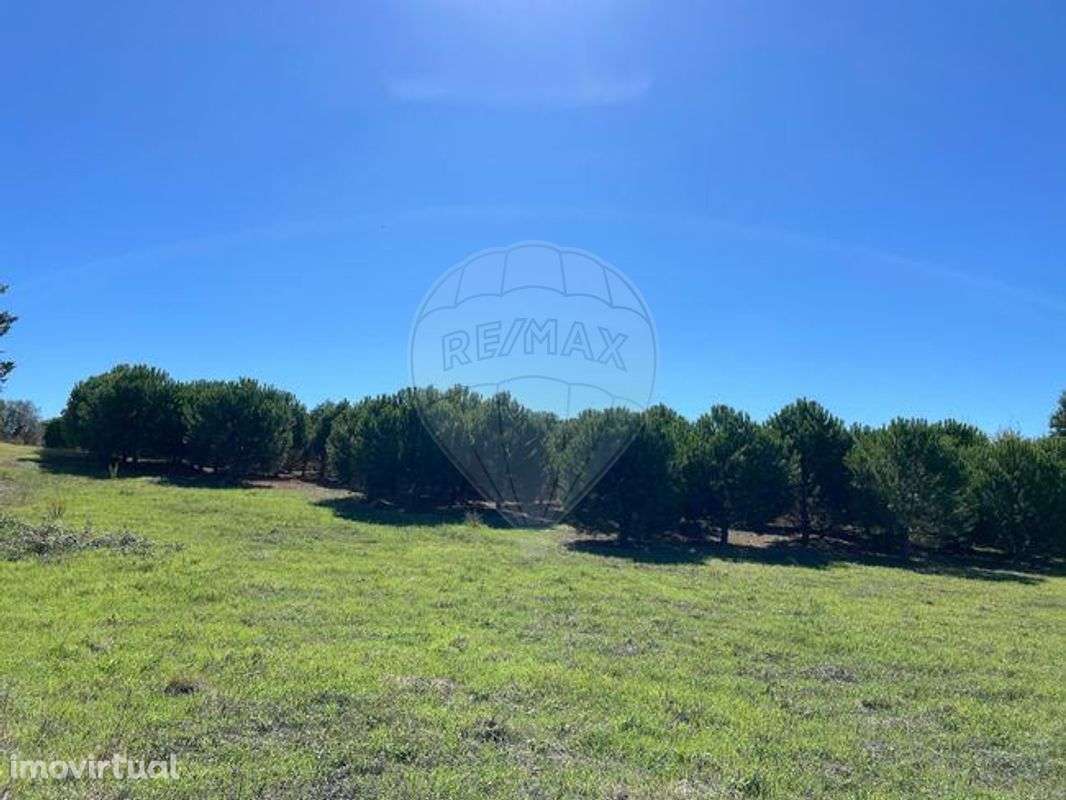 Terreno  para venda - Grande imagem: 3/15