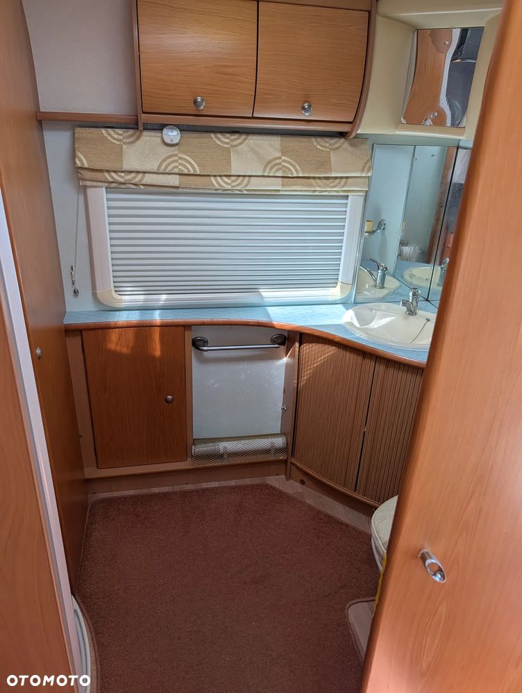 Avondale Golden Avocet - 10