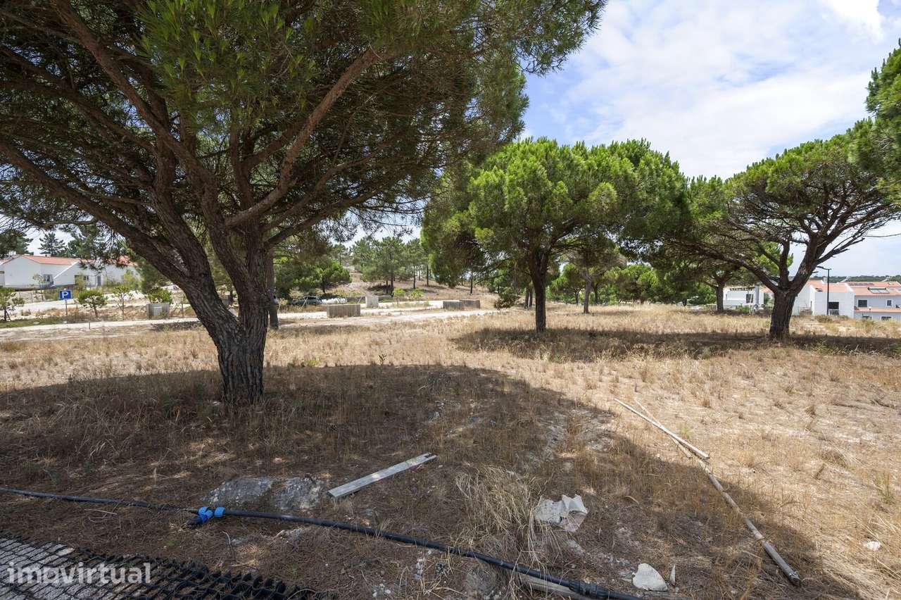 Lote 997 m2, Carvalhal, Grandola - Grande imagem: 4/18