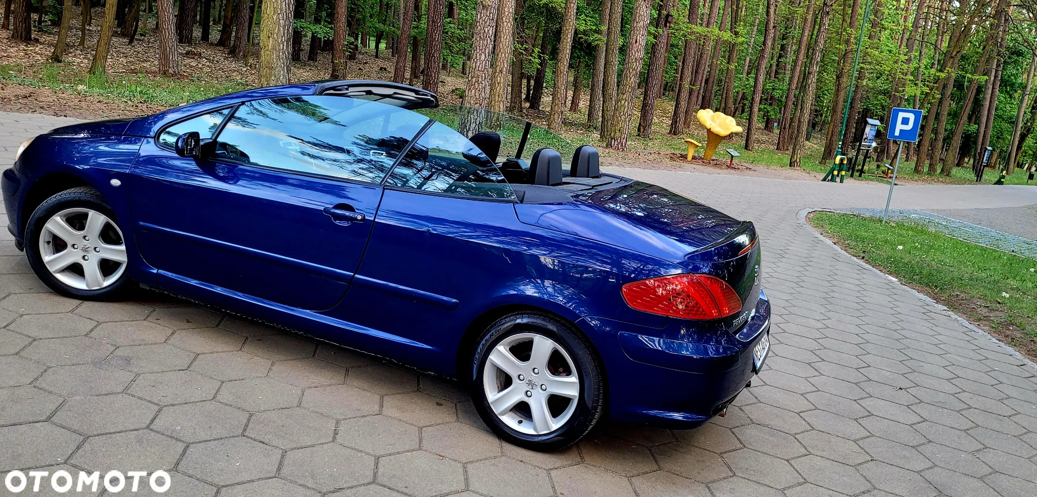 Peugeot 307 135 Sportline - 10