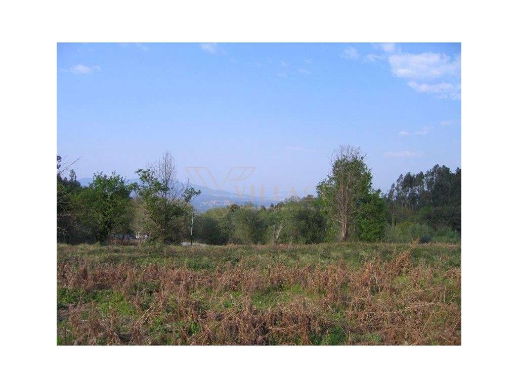 terreno - Grande imagem: 2/4