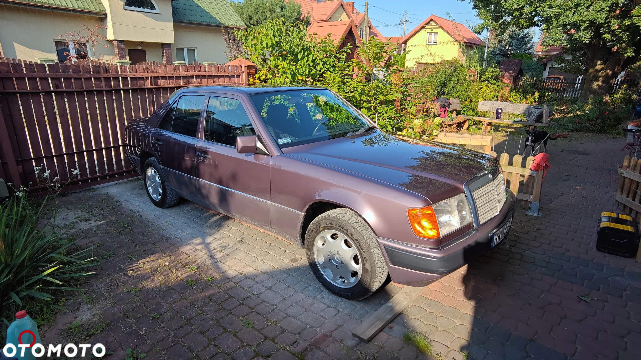Mercedes-Benz W124 (1984-1993) - 2