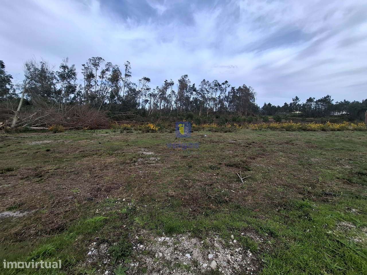 Terreno urbanizável com 6.871m² no Coimbrão, Leiria, próximo de praias - Grande imagem: 3/14