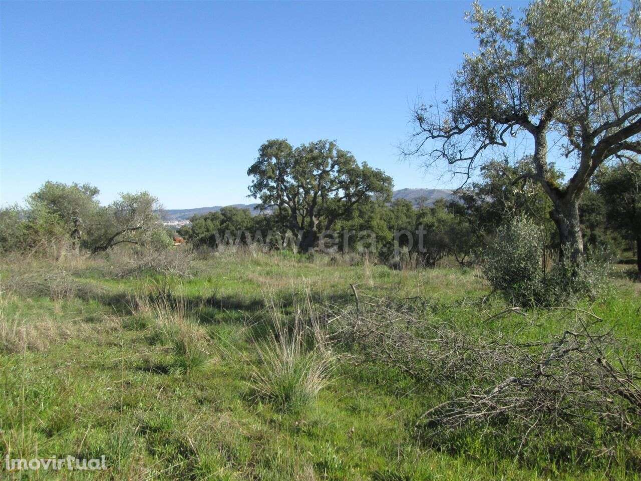 Terreno / Fundão, Telhado - Grande imagem: 3/6