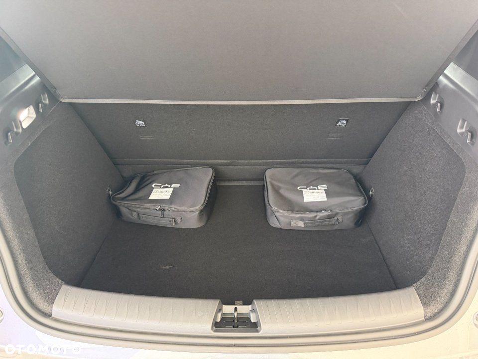 BYD Dolphin G Active E-CVT - 18