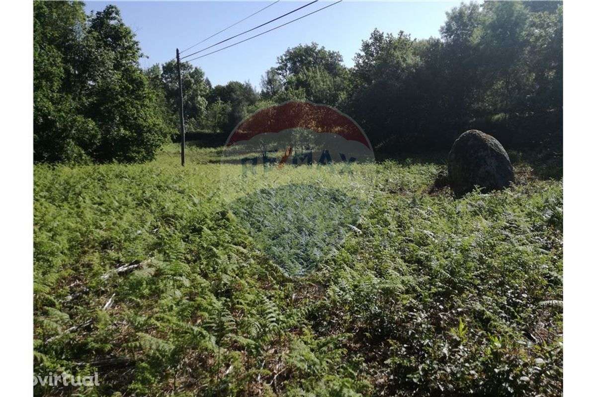 Terreno  para venda - Grande imagem: 5/44