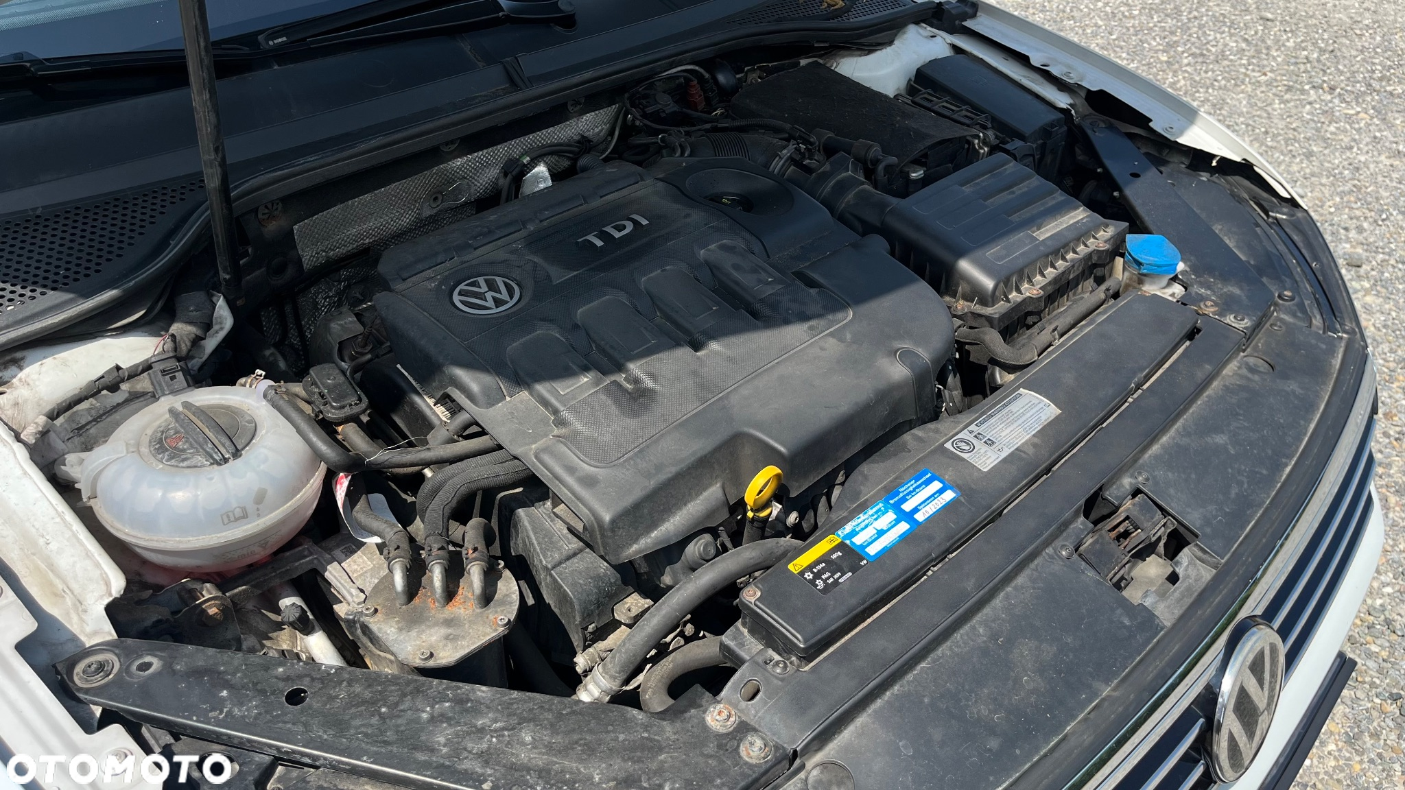 Volkswagen Passat - 40