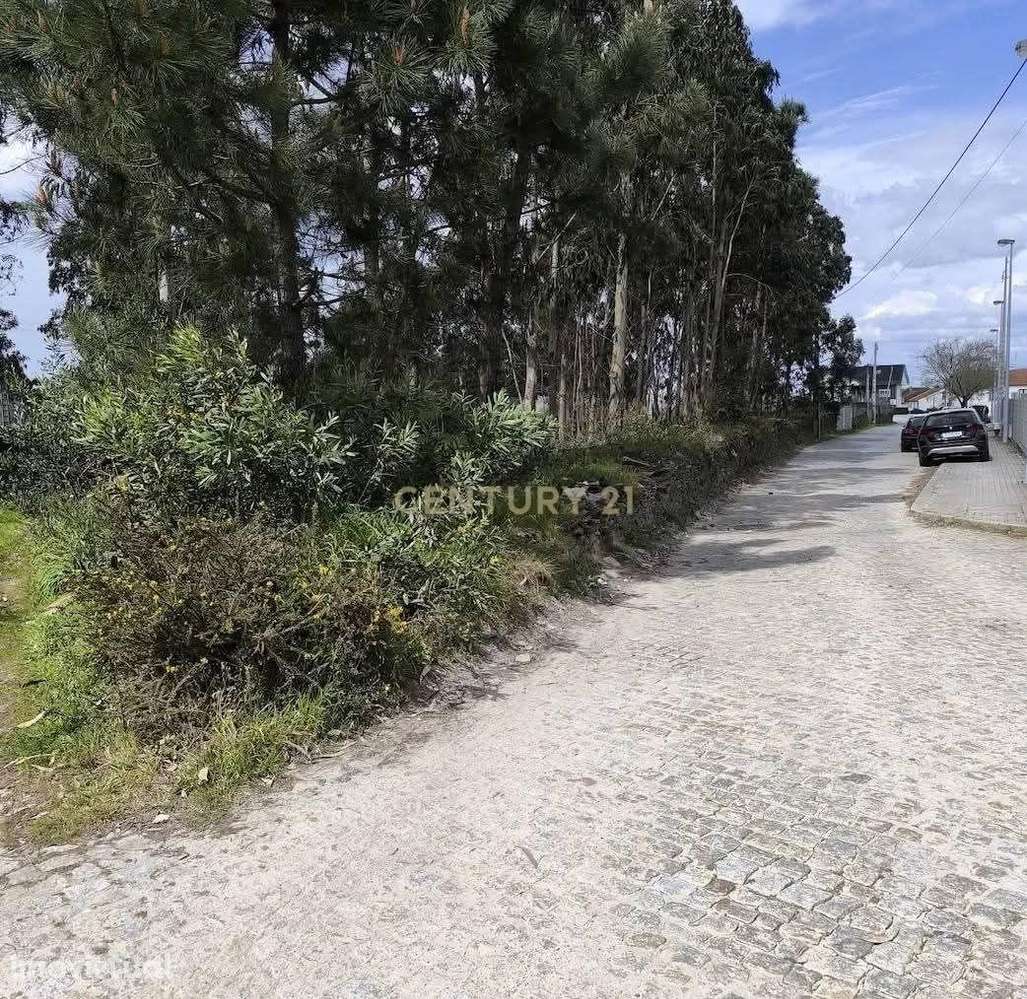 Terreno Pré-Construção em Braga, Esposende - 1750m² por 105000€ - Grande imagem: 2/6