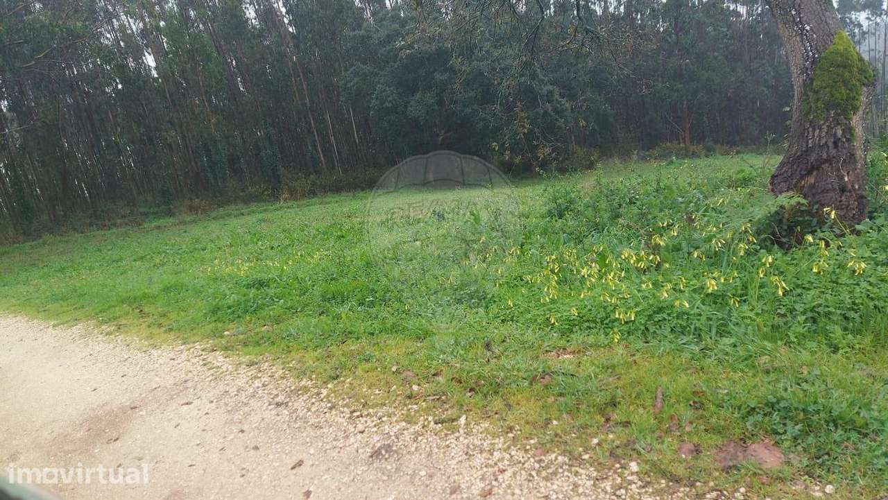 Terreno  para venda - Grande imagem: 3/4