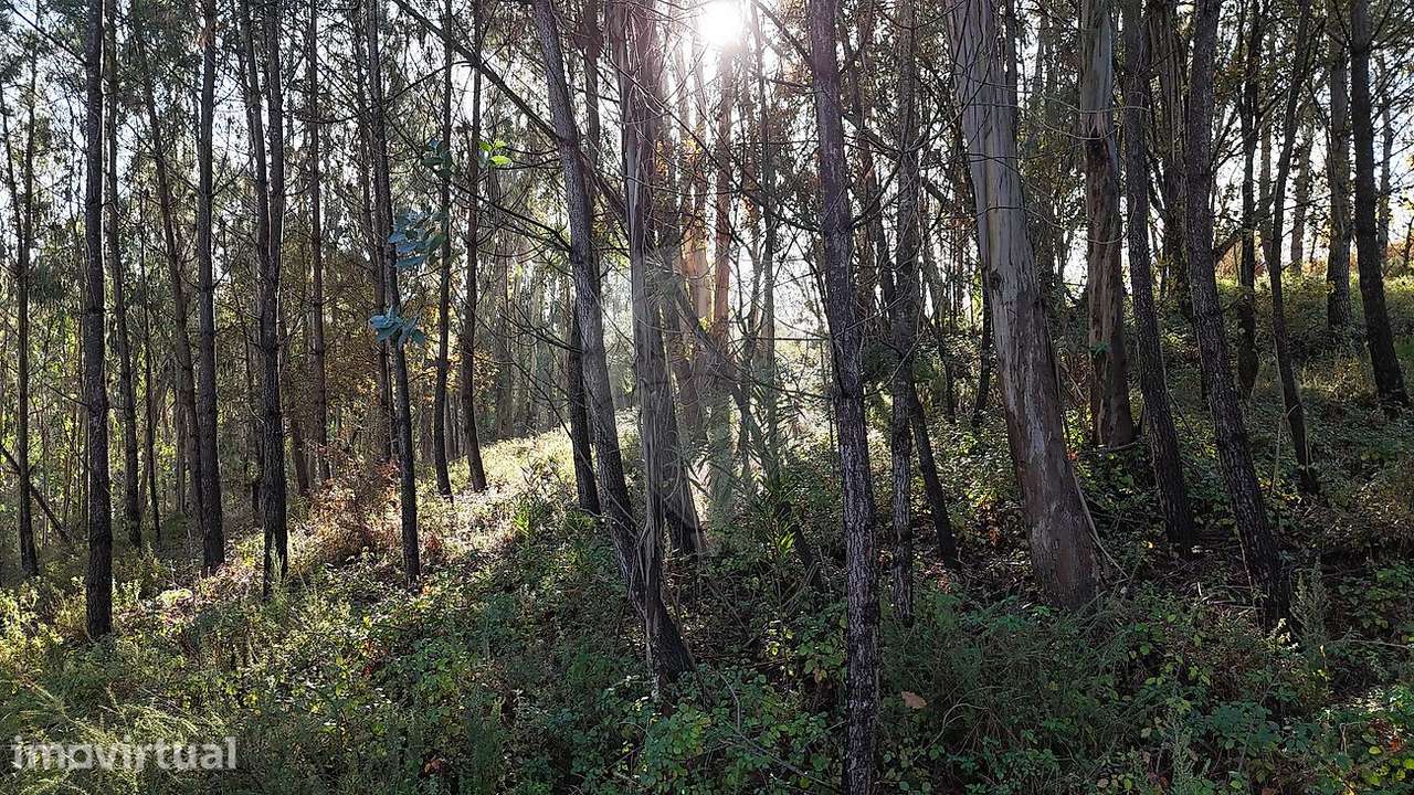 Terreno  para venda - Grande imagem: 3/7