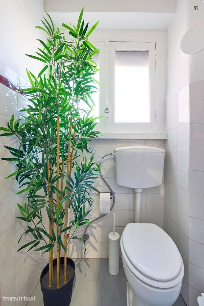 Quarto - localizado em Roma-Areeiro Lisbon - Grande imagem: 3/24