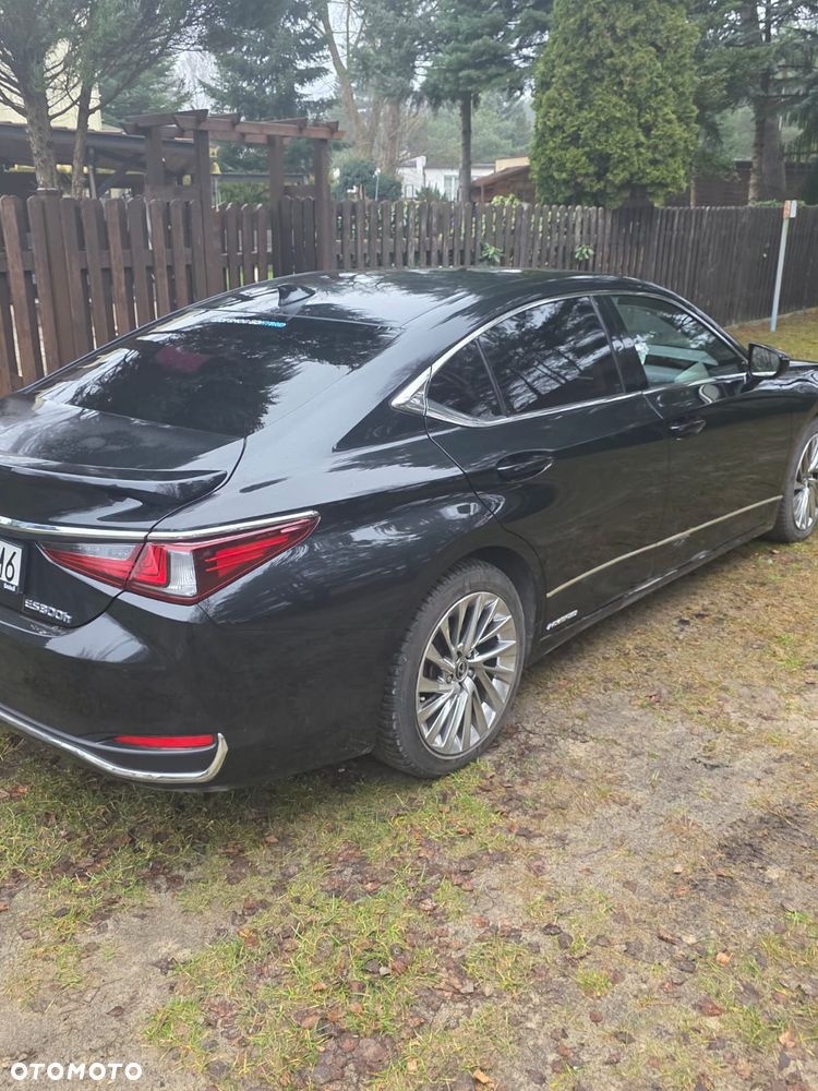 Lexus ES 300h Omotenashi - 8