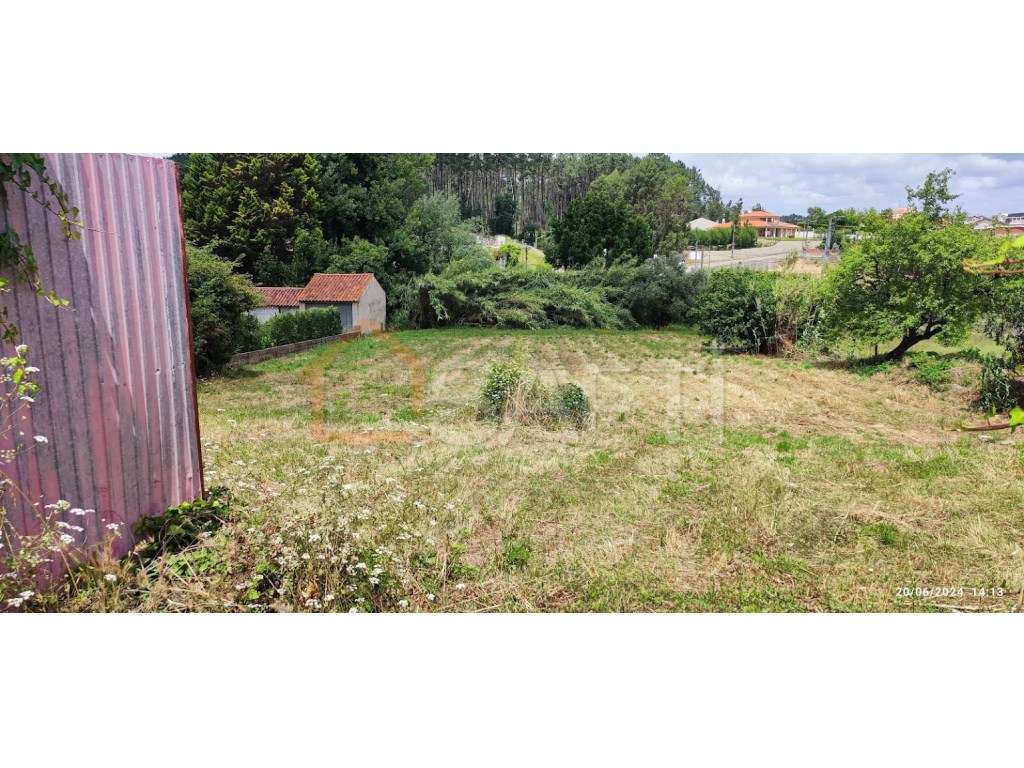Terreno 1676m2-Vale do Horto- LEIRIA - Grande imagem: 5/12