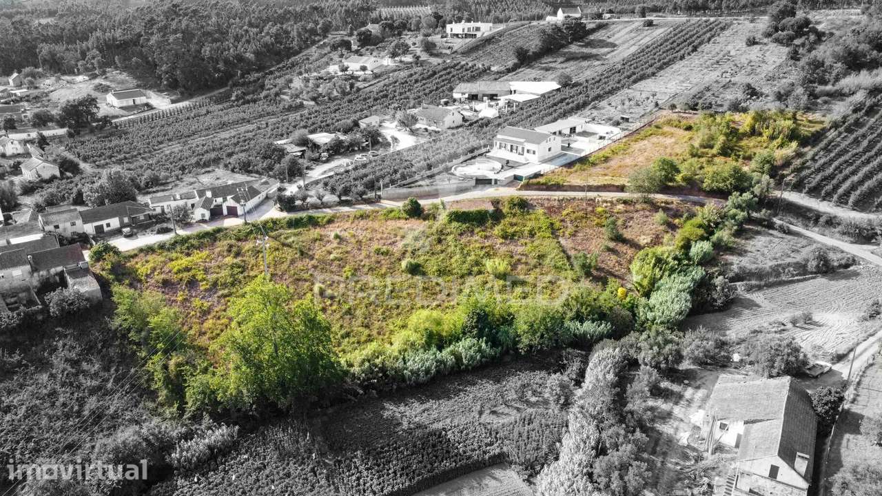 Terreno com viabilidade de Construção a 7km de Caldas da Rainha - Grande imagem: 2/14