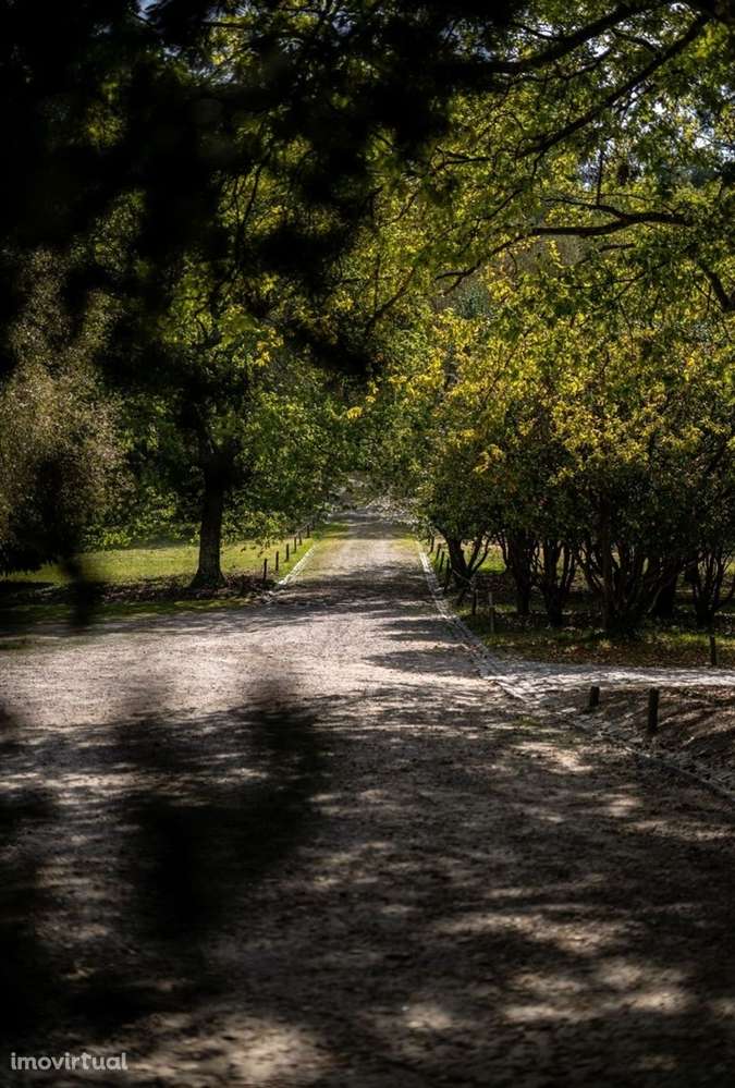 Apartamento T2 para Arrendamento na Quinta de Cravel, Gaia - Grande imagem: 3/24