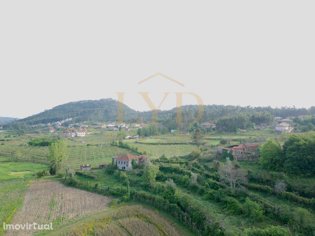 Quinta Com projeto para Hotel Rural - Grande imagem: 4/20