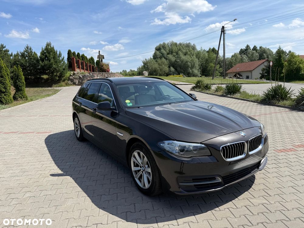 BMW Seria 5 518d Luxury Line - 2
