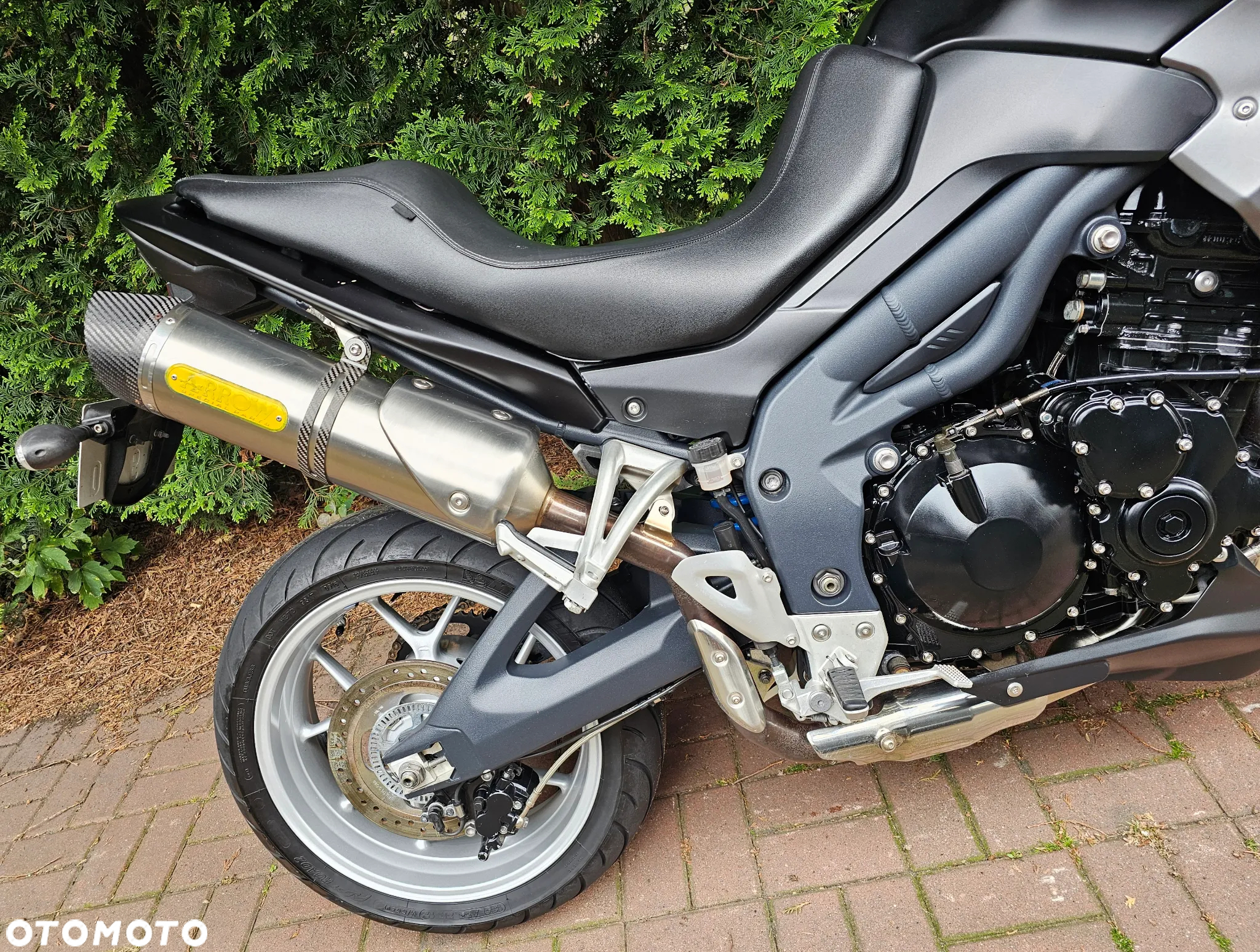 Triumph Tiger - 9