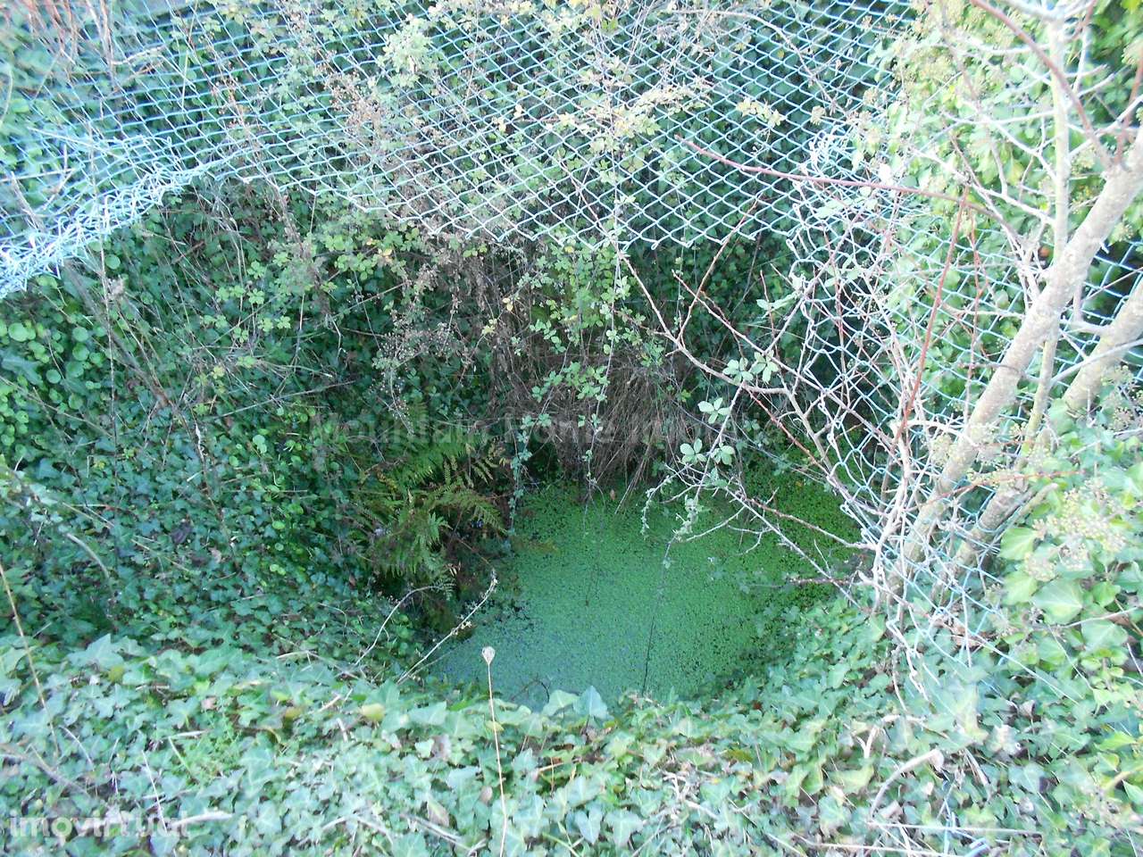 Terreno Rústico  Venda em Paços da Serra,Gouveia - Grande imagem: 4/8