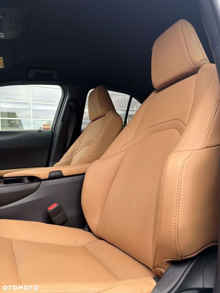 Lexus UX 250h GPF F Sport Design 2WD - 12