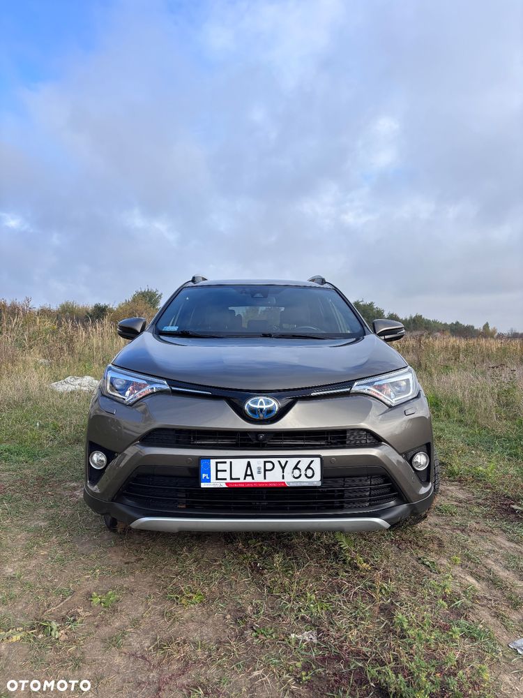 Toyota RAV4 Hybrid Prestige 4x2 - 2