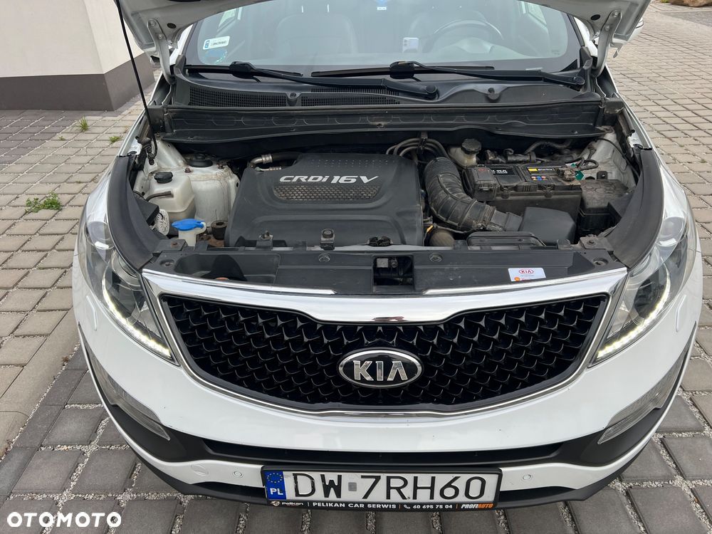 Kia Sportage - 20