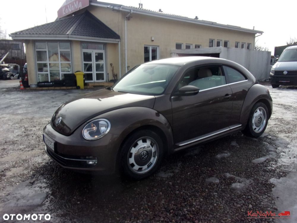 Volkswagen Beetle - 37