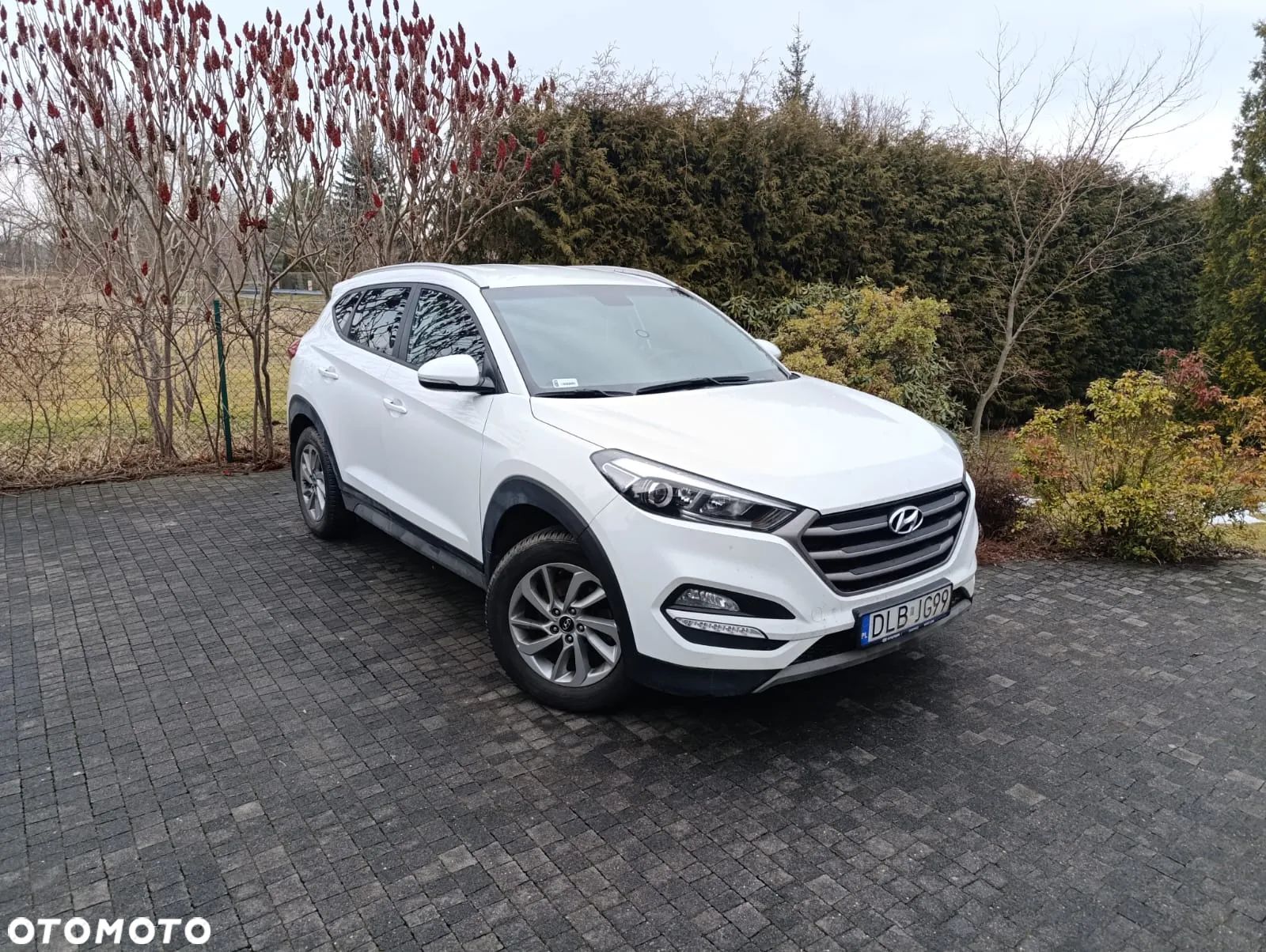 Hyundai Tucson 1.6 GDi Comfort 2WD - 1