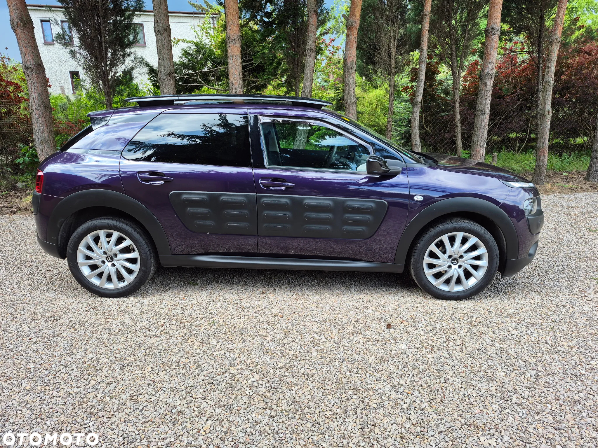 Citroën C4 Cactus 1.6 BlueHDi Shine - 3