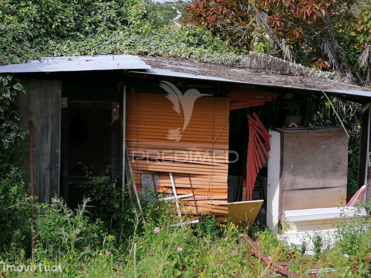 Cheleiros - Terreno Agrícola com 6600 m2 - Grande imagem: 2/14