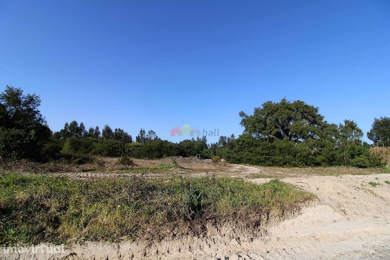 Terreno Rústico de 108.508m2 em Santo Isidro de Pegões - Montijo - Grande imagem: 5/22