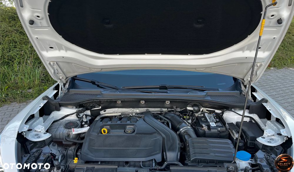 Cupra Formentor 1.5 TSI DSG Tribe Edition - 11