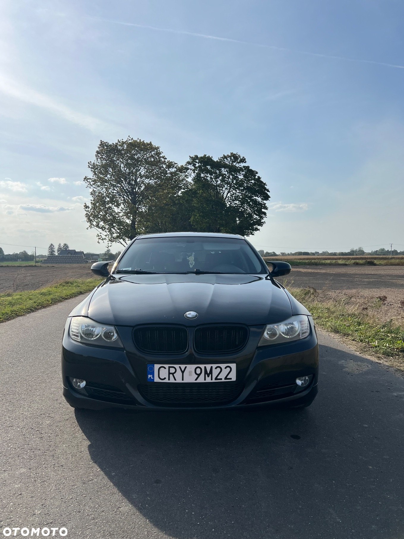 BMW Seria 3 - 2