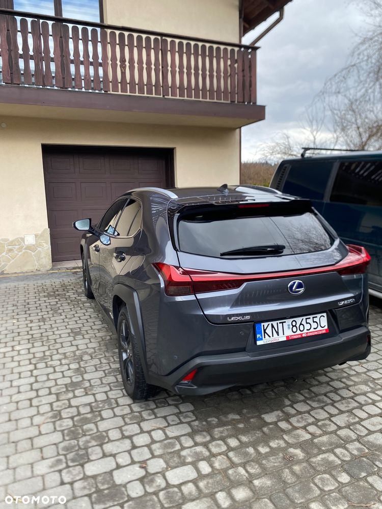 Lexus UX - 9