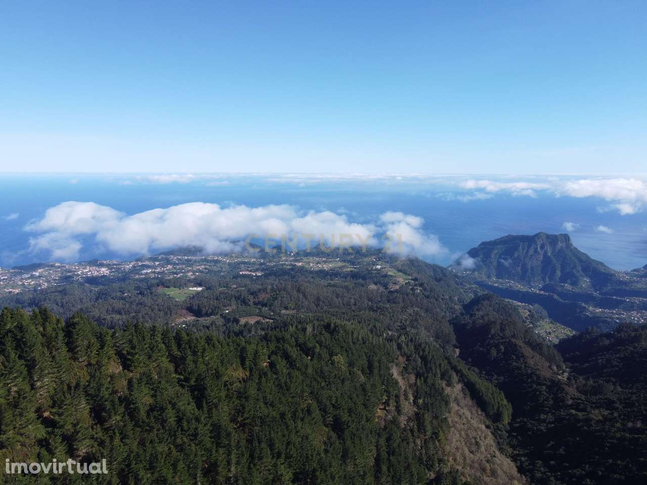 Terreno Laurissilva - Santana - Grande imagem: 2/15