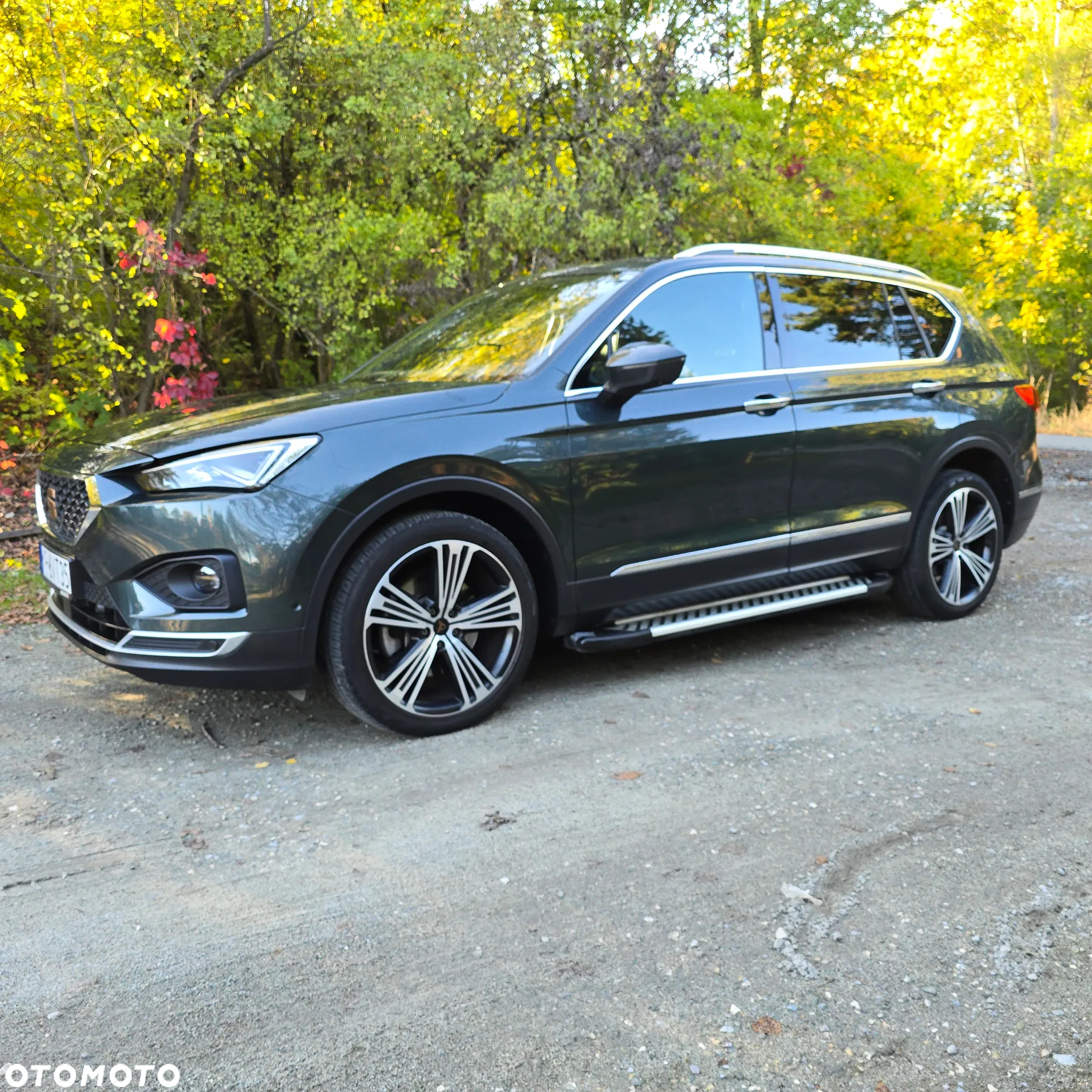 Seat Tarraco 2.0 TDI 4Drive DSG SCR Xcellence - 2