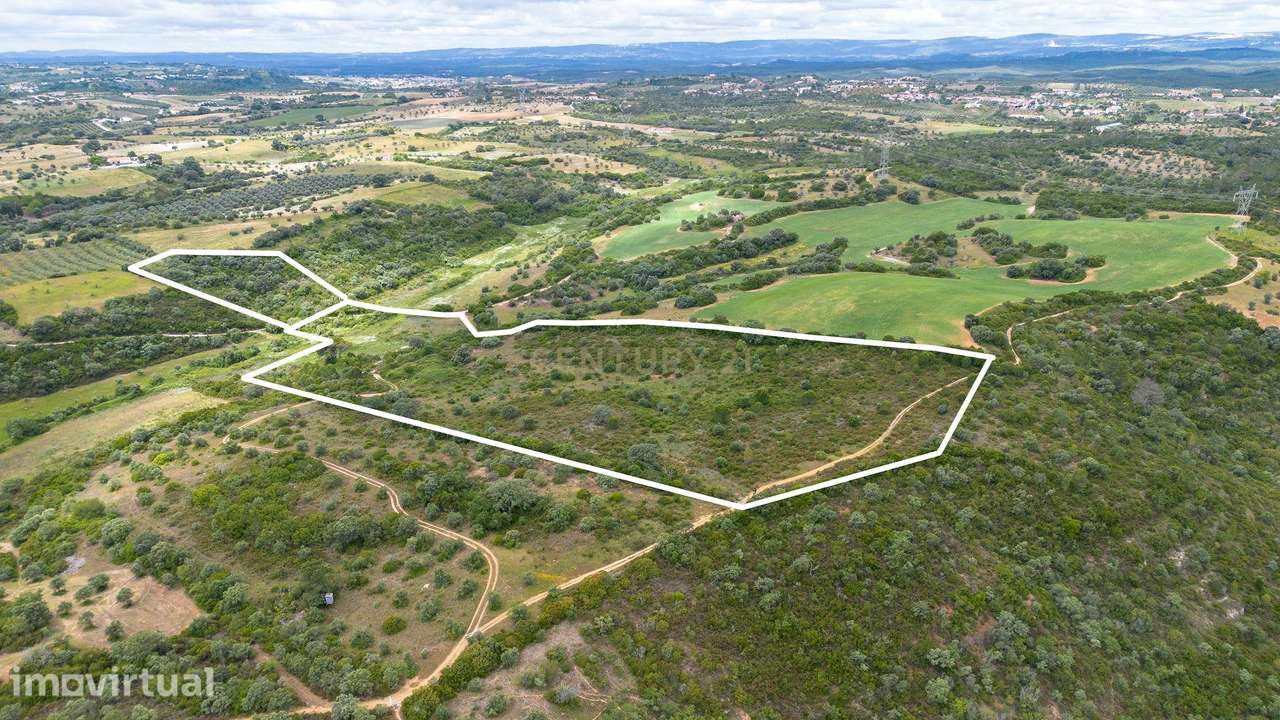 TERRENO COM 50.000M2 EM SANTARÉM - Grande imagem: 2/33