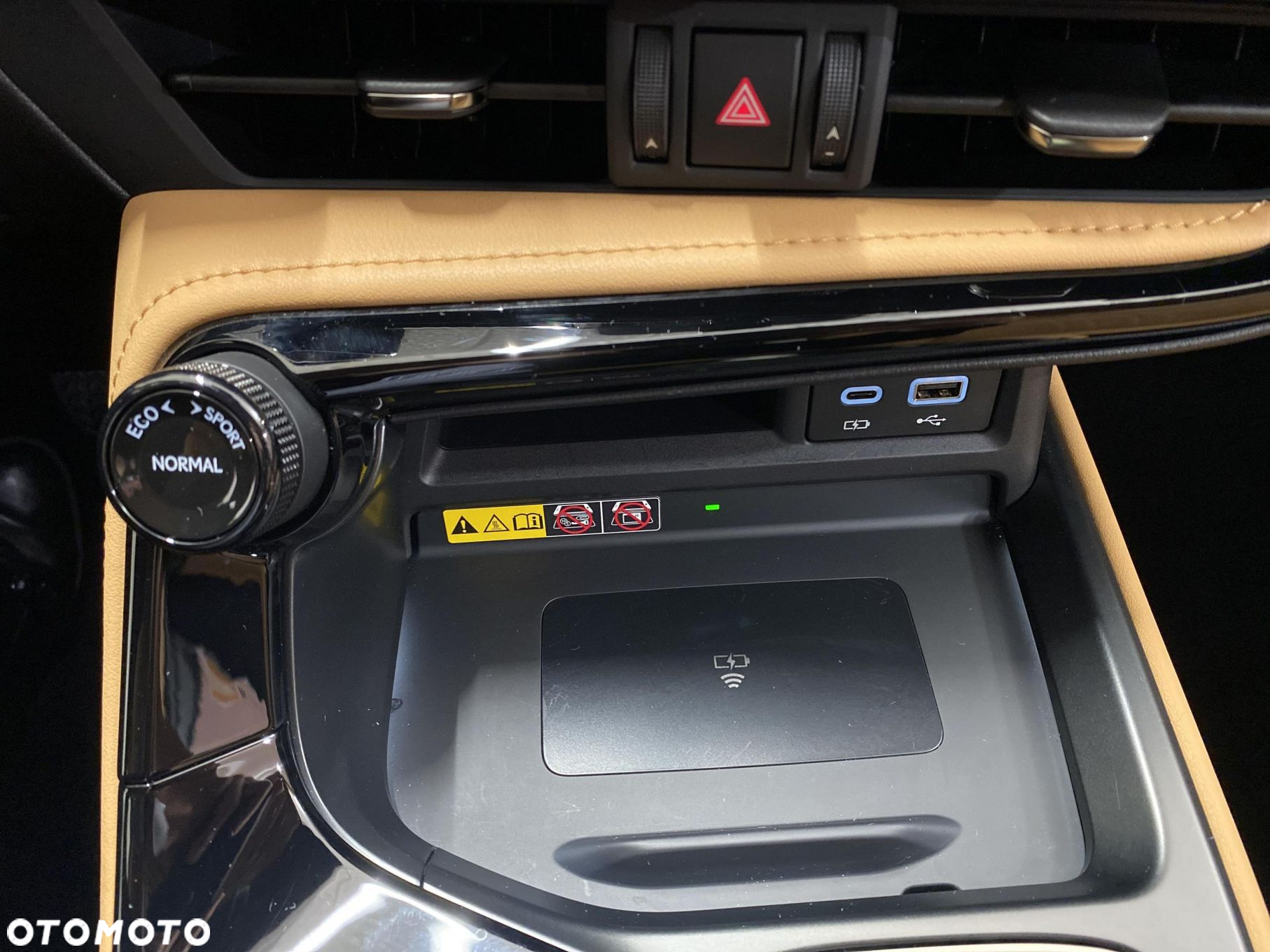 Lexus NX - 19