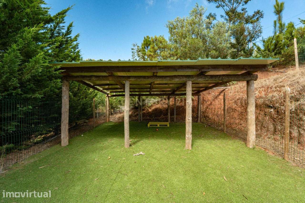 Terreno de 20.350 m² em São Gonçalo, Funchal - Grande Oportunidade de - Grande imagem: 5/42