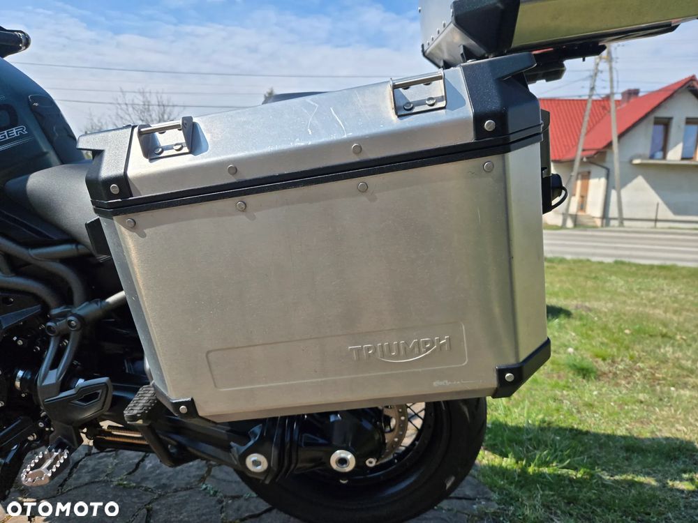 Triumph Tiger - 13