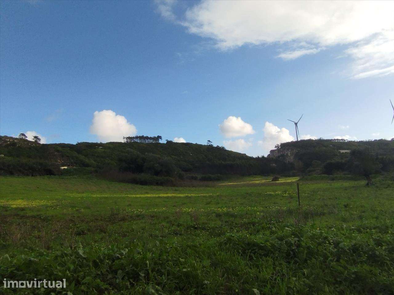 Terreno em Lourinhã, São Bartolomeu Galegos - Grande imagem: 3/13